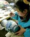 cloisonnier