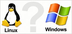 Linux or Windows