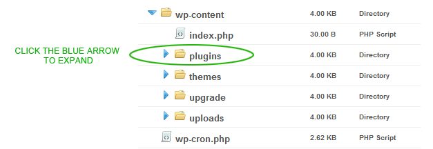 Wordpress Plugins Folder